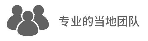 Professional Local Team